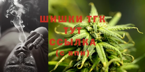 крисы Майский